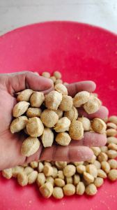 Soya Nugget Making Machine
